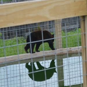 Meet your Posher, Sandi